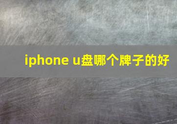 iphone u盘哪个牌子的好